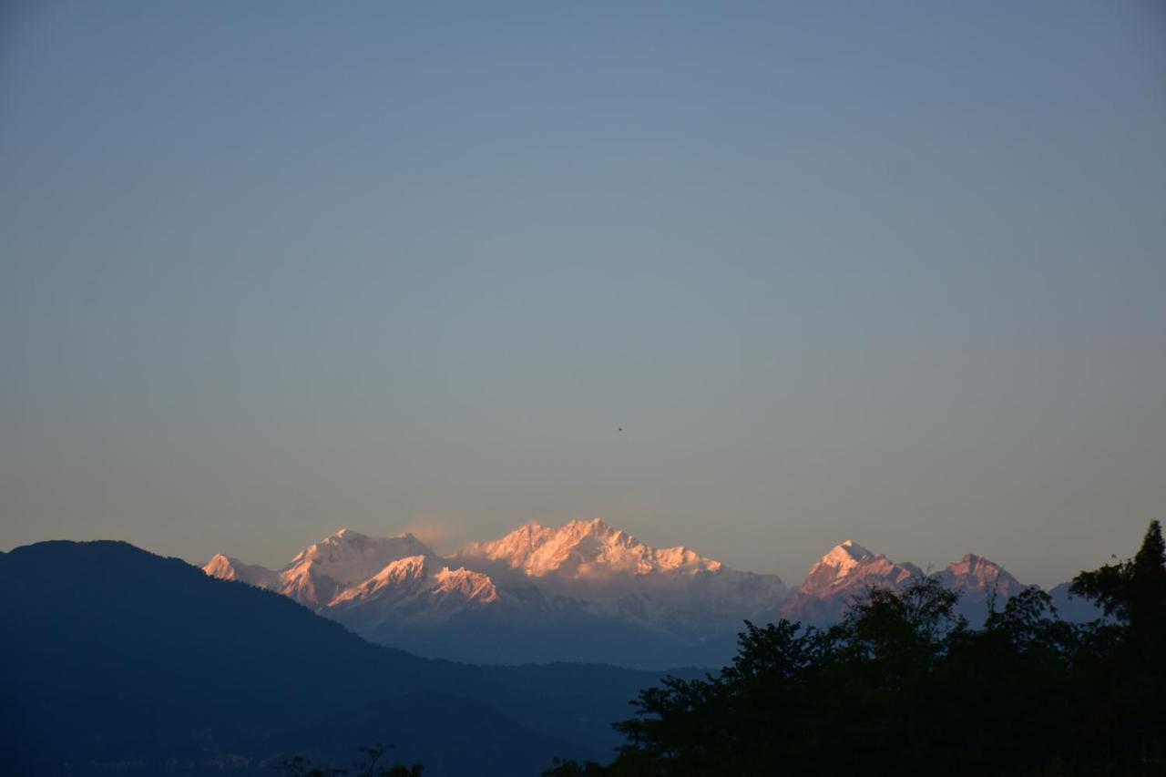 Singtom Tea Estate & Resort Darjeeling  Eksteriør bilde