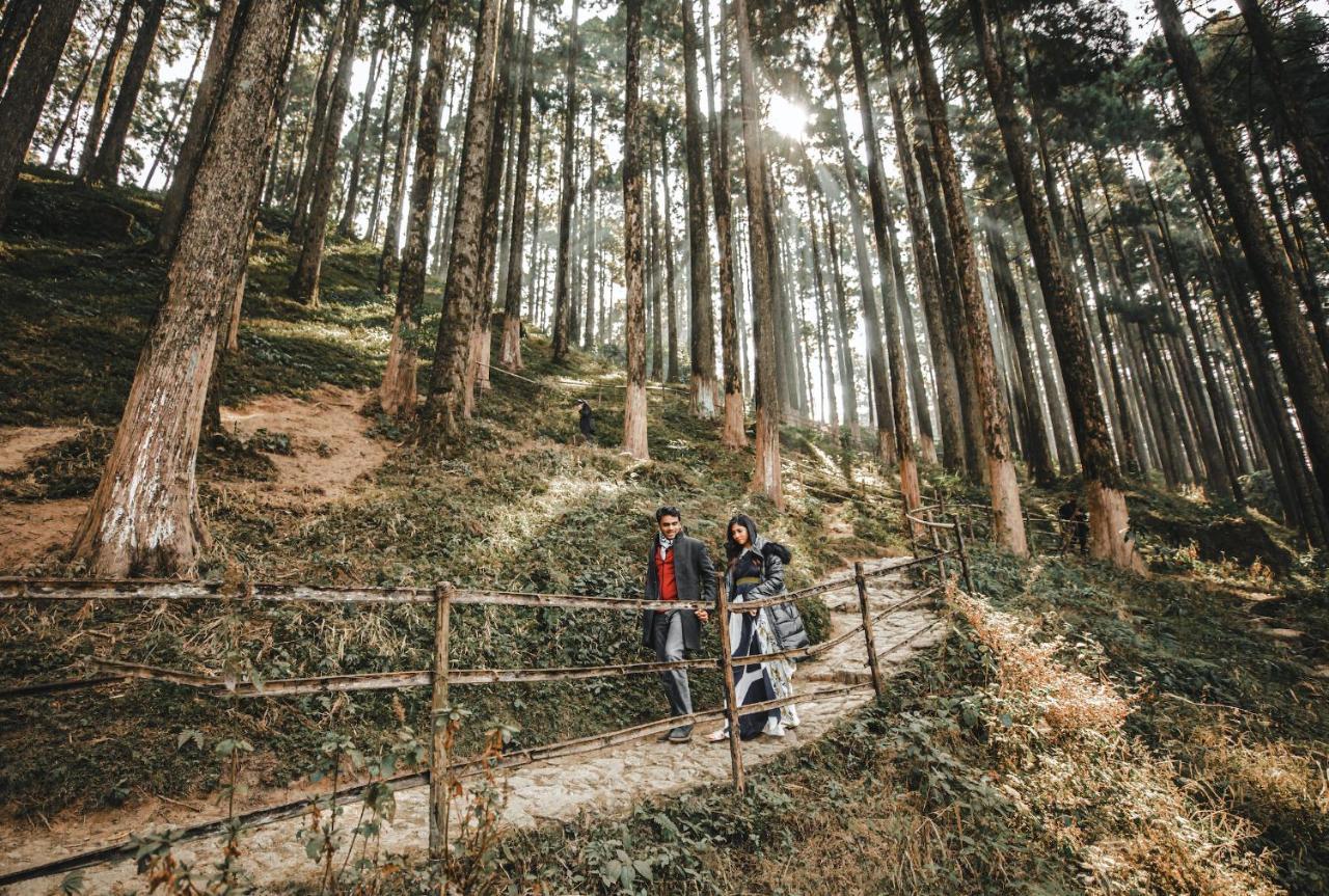 Singtom Tea Estate & Resort Darjeeling  Eksteriør bilde