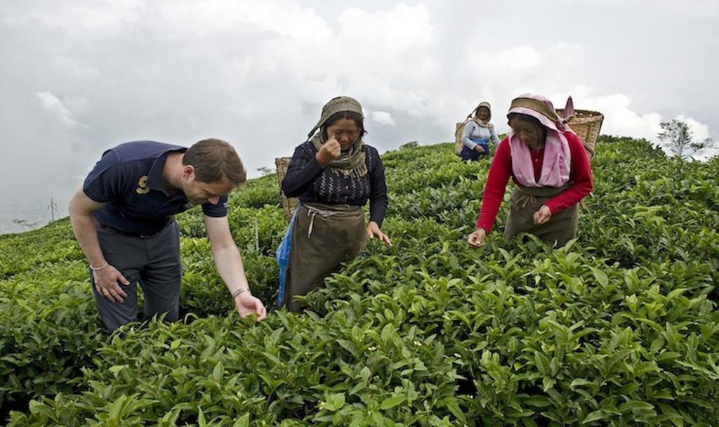 Singtom Tea Estate & Resort Darjeeling  Eksteriør bilde